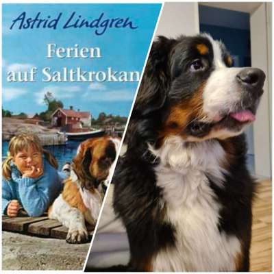 Wie heißt dein Hund?-Beitrag-Bild