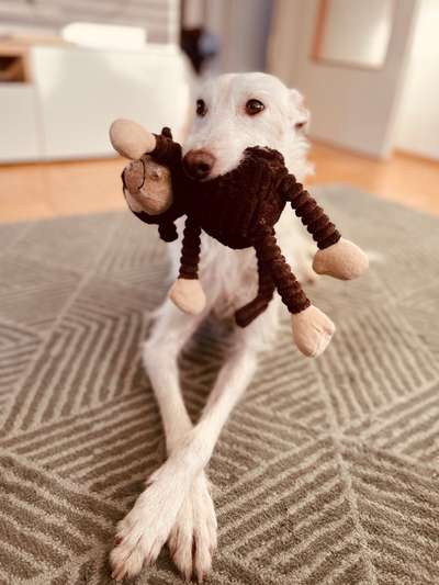 Lieblingsbild-Beitrag-Bild