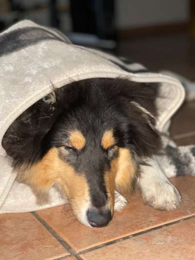 Die unbequemsten und lustigsten Schlafpositionen-Beitrag-Bild