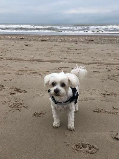 Eure Strandbilder :)-Beitrag-Bild