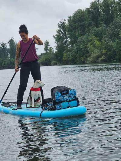 Stand Up Paddle Board-Beitrag-Bild