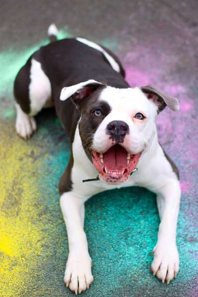 Lieblingsbild-Beitrag-Bild