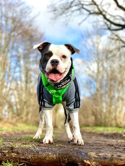 Lieblingsbild-Beitrag-Bild