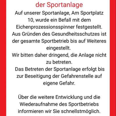 Giftköder-Eichenprozessionsspinner-Bild