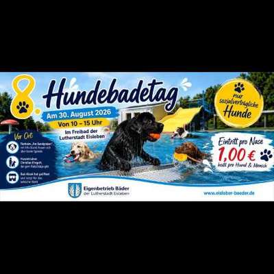 Hundetreffen-Hundebadetag-Bild