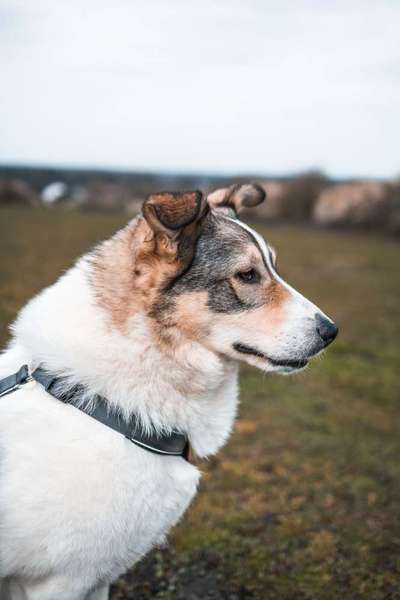 Austausch zur Fotografie-Beitrag-Bild