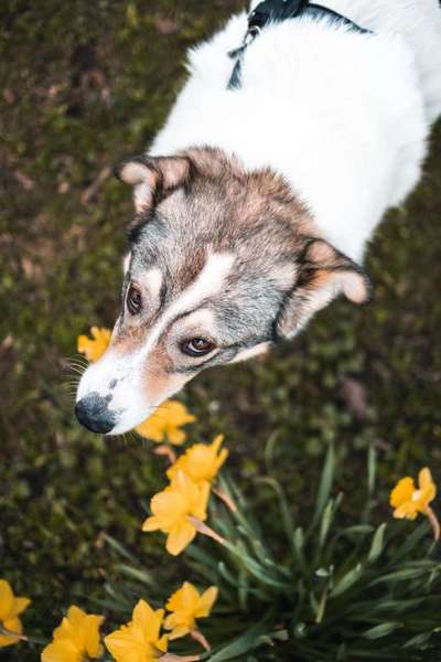 Austausch zur Fotografie-Beitrag-Bild
