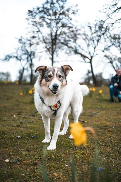 Austausch zur Fotografie-Beitrag-Bild