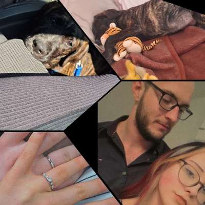 Hundetreffen-Spaziergang zu 5 oder 6 ?-Bild