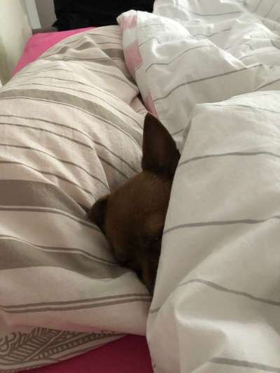 Die unbequemsten und lustigsten Schlafpositionen-Beitrag-Bild