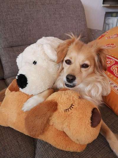 Handy-Foto-Challange Nr. 8-Beitrag-Bild