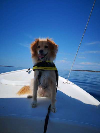 Fotochallenge Nr.100 Urlaubsimpressionen-Beitrag-Bild