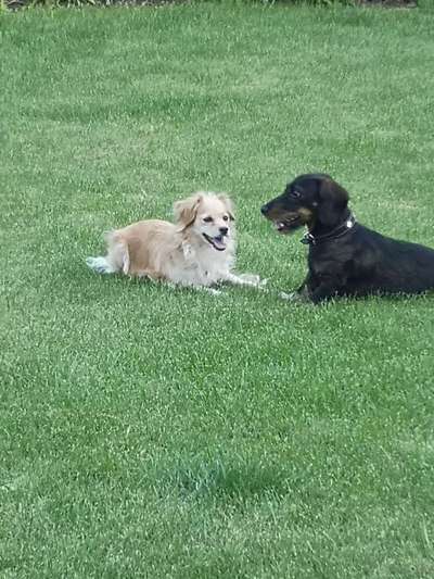 Foto Challenge Nr.: 115-Beitrag-Bild