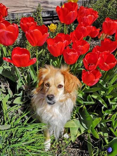 Fotochallenge 78

Es grünt und blüht-Beitrag-Bild