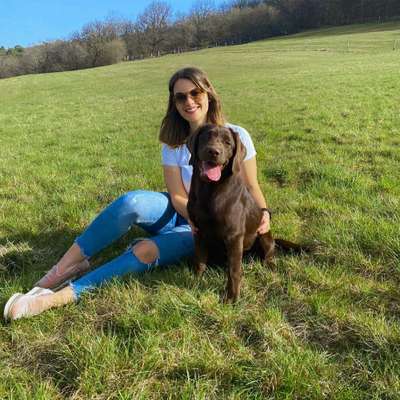 Hundetreffen-Gassirunde-Profilbild