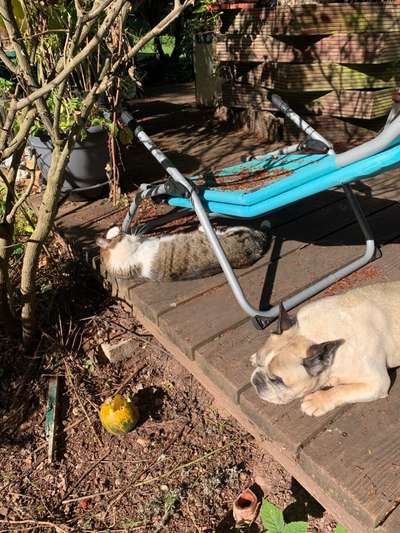 die letzten Jahre mit Malin geniessen.-Beitrag-Bild