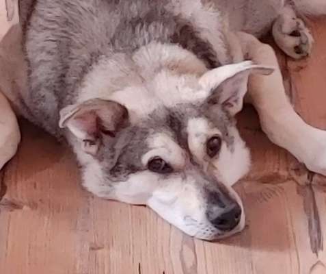 Fotochallange Nr. 57     PORTRÄT.   Beendet!!!!!!!!-Beitrag-Bild