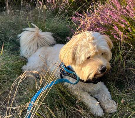 Doppelgänger gesucht !-Beitrag-Bild