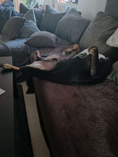 Verrückte Schlafpositionen-Beitrag-Bild