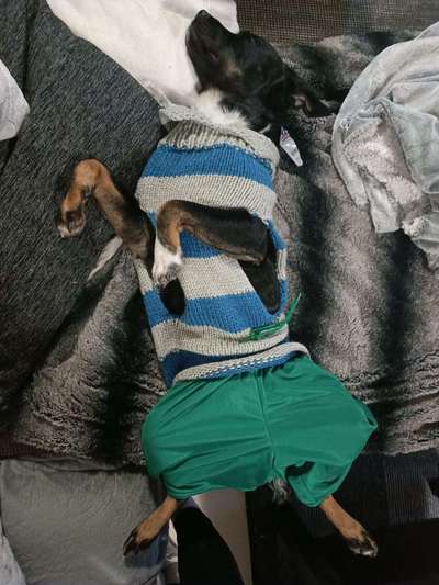 Verrückte Schlafpositionen-Beitrag-Bild