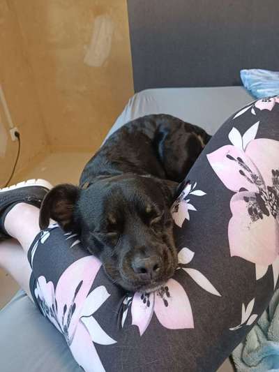 Verrückte Schlafpositionen-Beitrag-Bild