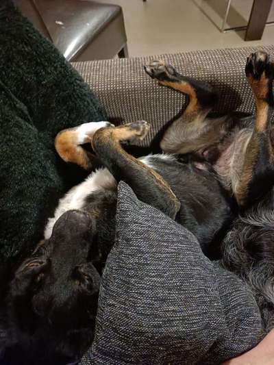 Verrückte Schlafpositionen-Beitrag-Bild