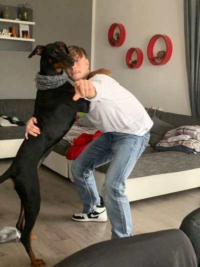 Wo sind die Dobis?-Beitrag-Bild