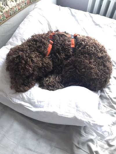 Die unbequemsten und lustigsten Schlafpositionen-Beitrag-Bild