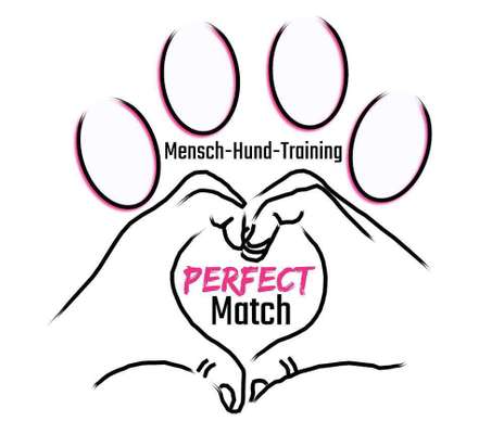 Hundeschulen-Perfect Match | Mensch-Hund-Training-Bild