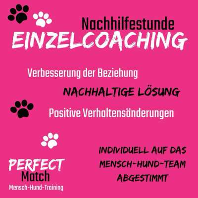 Giftköder-Nachhilfestunde | Einzelcoaching-Bild