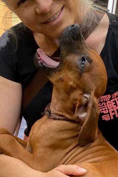 Welpen Bilder !-Beitrag-Bild