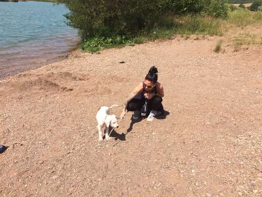 Welpen Bilder !-Beitrag-Bild