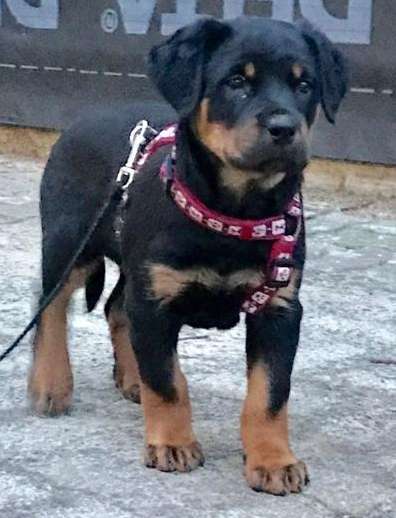 Foto Challenge 3-Beitrag-Bild