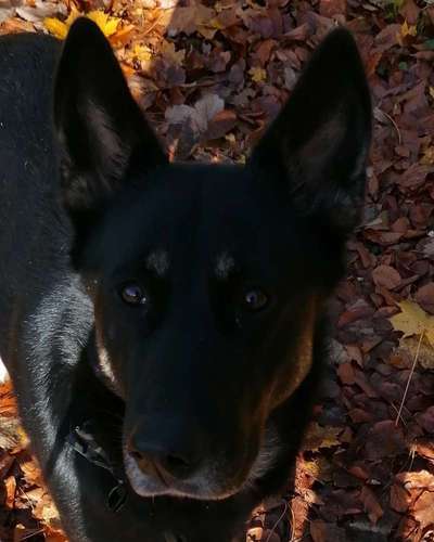 Fotochallange Nr. 57     PORTRÄT.   Beendet!!!!!!!!-Beitrag-Bild