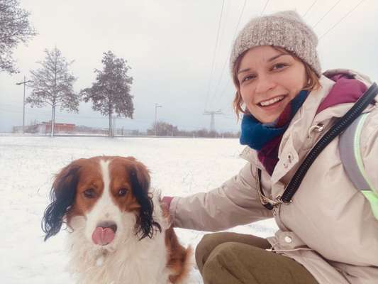 Hundetreffen-Suche auch Selbstständige für Treffen tagsüber-Bild