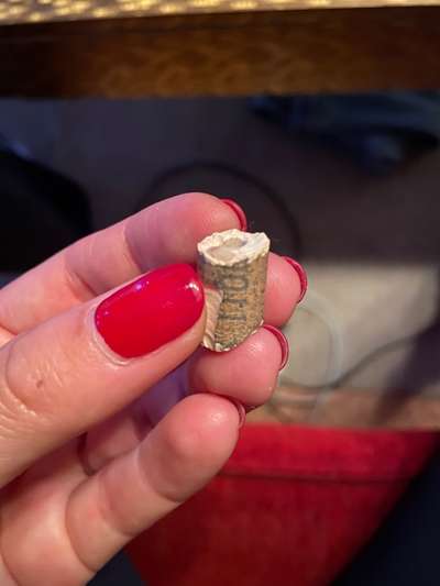 Rote dünne Drähte im Dibo Tiefkühl-Lammfutter-Beitrag-Bild