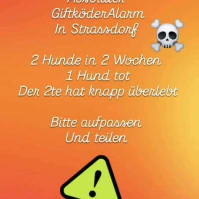 Giftköder-Giftköder-Bild