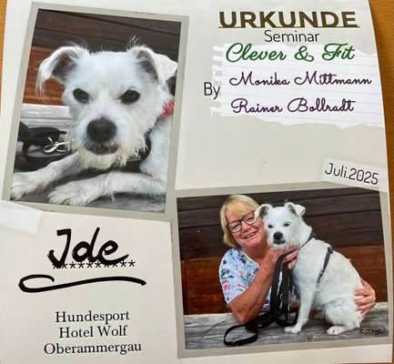 Hund abgegeben, weil Urlaub anstand? Leider kein Witz 😳-Beitrag-Bild