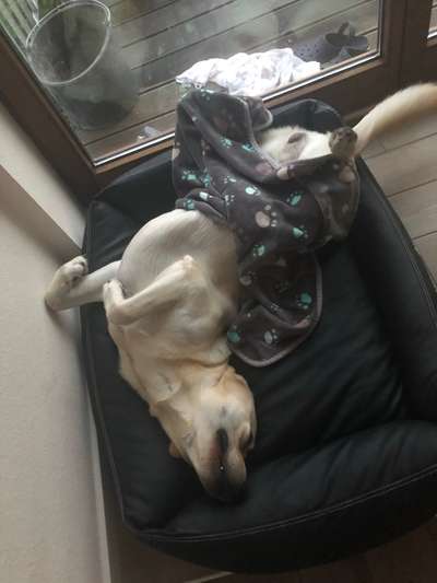 Die unbequemsten und lustigsten Schlafpositionen-Beitrag-Bild