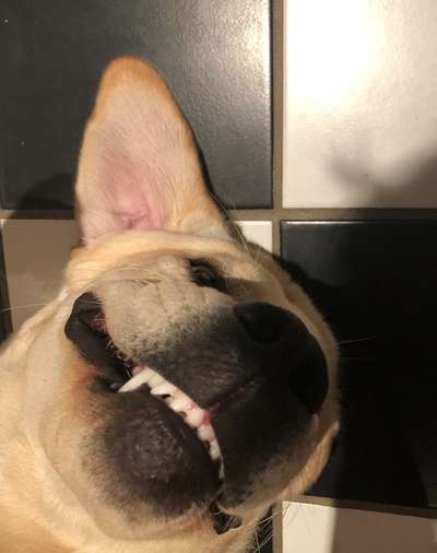 Fotochallange Nr. 6 Die irrsten Blicke-Beitrag-Bild