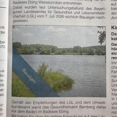 Giftköder-Blaualgen Badesee Ebing-Bild