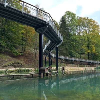 Hundeauslaufgebiet-Wildpark Hundshaupten-Bild