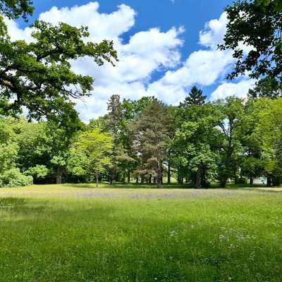 Hundeauslaufgebiet-Bamberger Hainpark (Theresienhain/Luisenhain/Botanischer Garten mit Weiher)-Bild