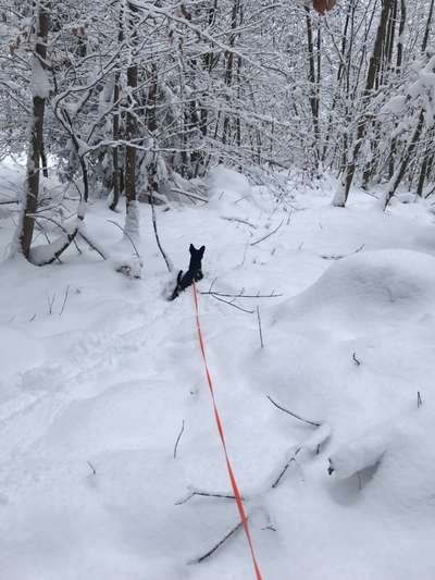 Challenge Nr. 15
Spiel im Schnee-Beitrag-Bild