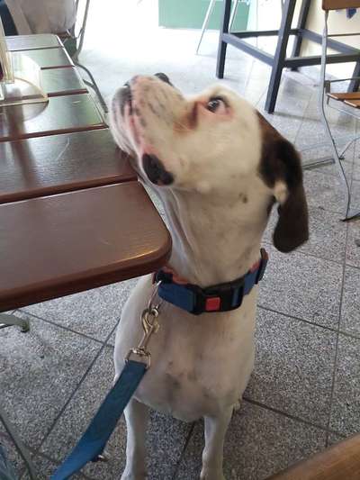 147. Foto Challenge: Bettelblick-Beitrag-Bild