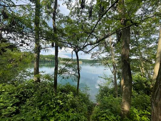 Hundeauslaufgebiet-Mönchwaldsee-Bild