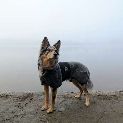 Winterjacke?-Beitrag-Bild