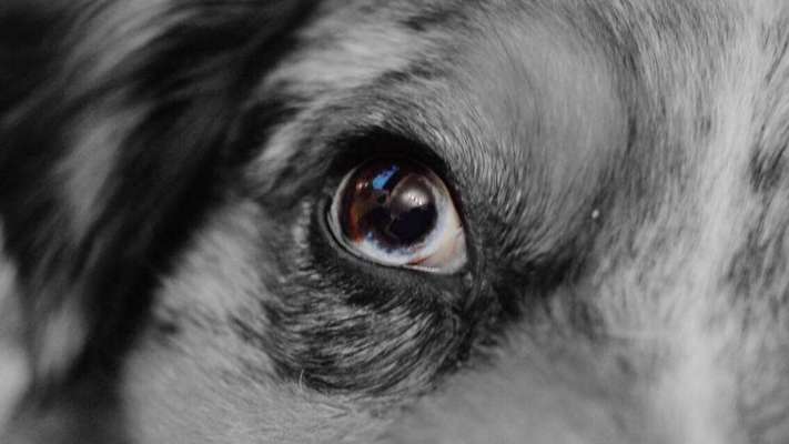 Lieblings Schnappschuss?-Beitrag-Bild