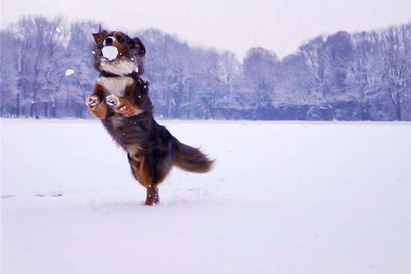 Lieblings Schnappschuss?-Beitrag-Bild