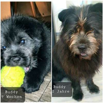 Vorher.... Nachher-Beitrag-Bild